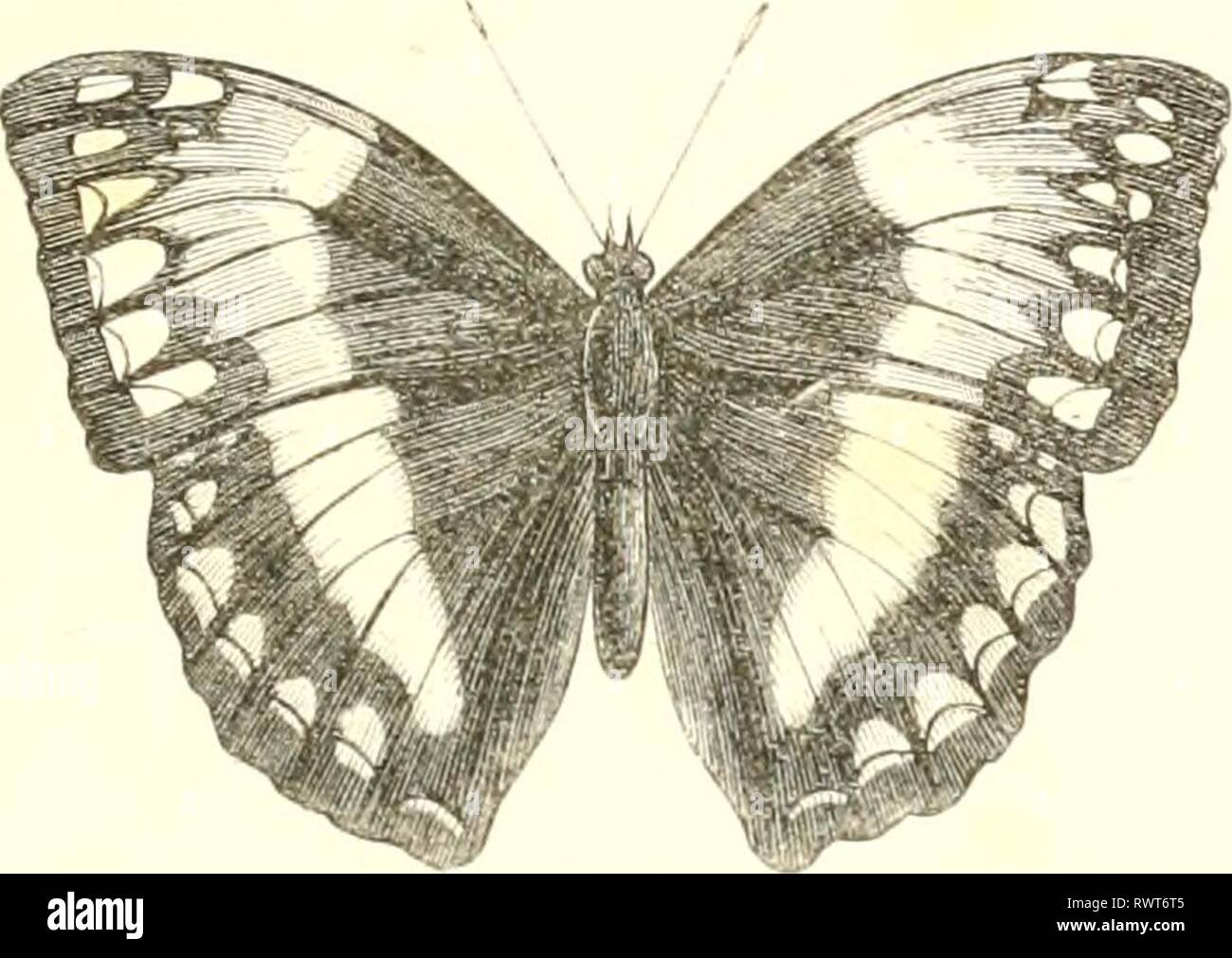 Au E Stock Photos Au E Stock Images Page 7 Alamy - 